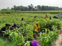 Could the India-UK Trade Deal Transform Agriculture?
