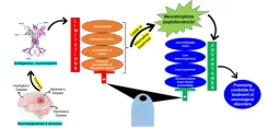 Can Indian Scientists Revolutionize Treatment for Neurodegenerative Disorders?