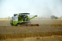 How has India's agriculture & allied sector achieved a 54.6% increase in output from 2011–12 to 2023–24?