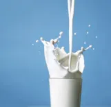 Did India Achieve an 80% Increase in Dairy Exports for 2024-25?