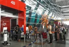 India’s domestic air passenger traffic to see 7-10 pc growth in FY25