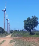 Has India’s Wind Energy Capacity Reached 51.67 GW? Gujarat, TN & Karnataka Take the Lead