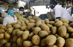 Is the International Potato Centre's South Asia Regional Centre Coming to Agra?