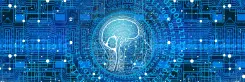 Have Israeli Researchers Found a Security Flaw in Popular AI Chatbots?