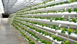 Why Did Jain Irrigation System's Net Profit Plummet 60% in Q1?