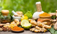 Is Kerala Establishing a ₹400 Crore International Ayurveda Research Centre in Kannur?