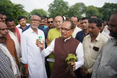 क्या किसानों की जली फसल पर शिवराज चौहान ने नाराजगी जताई? दोषी कंपनी पर होगी सख्त कार्रवाई