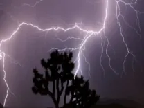 Did a lightning strike claim a life in Madhya Pradesh's Sehore?