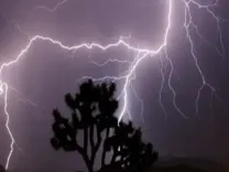 Lightning strike claims one life in Madhya Pradesh's Sehore; two injured