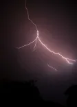 How Did Lightning Strikes Lead to Six Fatalities in MP?