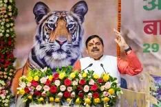 Is Madhya Pradesh a Model for Wildlife Conservation?