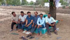 Is the PM-KISAN Scheme a Game-Changer for Farmers in Madhya Pradesh?