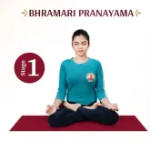 क्या भ्रामरी प्राणायाम मानसिक शांति और स्वास्थ्य का सरल उपाय है? आयुष मंत्रालय ने बताए इसके लाभ