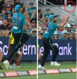 Why Did MCC Decide to Make ‘Bunny Hop’ Boundary Catches Illegal?