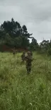 Was a Militant Neutralized in a Gunfight with Security Forces in Arunachal?
