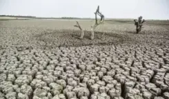 Nearly 200 countries commit to prioritise land restoration, drought resilience