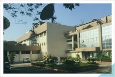 Why Did Nelco’s Q1 Net Profit Plummet Over 60%?