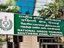 What Steps is NGT Taking to Safeguard the Environment During Ganesh Festival?