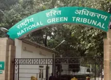 NGT summons DDA Vice-Chairman & others for not taking effective steps to rejuvenate Delhi ponds
