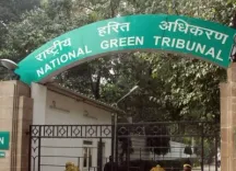 Has NGT Addressed the Environmental Decline of Futala Lake?