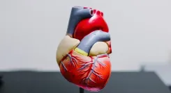 Why Do Only 3 Out of 5 Heart Failure Patients Visit a Cardiologist Annually?
