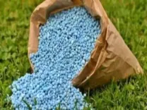 Is Odisha Facing a Fertiliser Crisis?