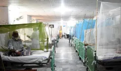 What Measures Are Being Taken to Combat Rising Dengue Cases in Rawalpindi?
