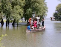 How Many Lives Have Been Claimed by the Torrential Rains in Pakistan?