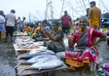 क्या पीएम मत्स्य संपदा योजना ने 5 सालों में 'नीली क्रांति' से रोजगार और उम्मीदों को नए पंख दिए हैं?
