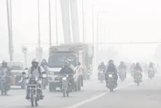 Is Pollution Causing Respiratory Illness in Delhi? 68,411 Cases and 10,819 Hospital Admissions in 2024