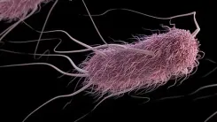 Could a Portable DNA Sequencing Device Revolutionize the Fight Against Drug-Resistant Hotspots?