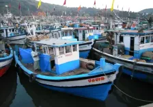 क्या प्रधानमंत्री मत्स्य संपदा योजना के तहत 11 इंटीग्रेटेड एक्वा-पार्क्स बनाने के प्रस्तावों को मंजूरी दी गई?