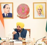 Has the Punjab Cabinet Approved the Conversion of Industrial Plots into Hospitals and Hotels?