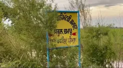 क्या पटियाला जिले में घग्गर नदी बन रही है खतरा, दर्जनों गांव बाढ़ की चपेट में?
