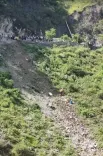 बद्रीनाथ जा रहा टेंपो ट्रैवलर अलकनंदा नदी में गिरा: एक की मौत, कई लापता, सीएम धामी ने जताया दुख
