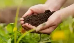 Rwanda launches agriculture strategy to build resilient, sustainable agri-food systems