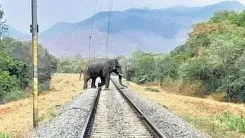 How is Southern Railway Enhancing Elephant Safety with New Detection System?