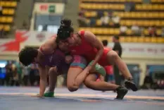 Senior National Wrestling: Haryana sweeps women’s division with seven gold 