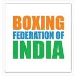 How did Services win team gold in boys and girls categories at Junior Boxing Nationals?