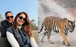 Sharvari’s Christmas is all about safari, stars and tigers
