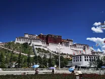 क्या शीत्सांग में तेज विकास और मजबूत जीवन शक्ति देखी जा रही है?