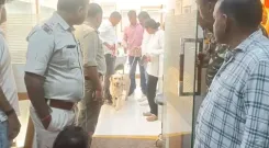Who Were the Six Arrested in the Rs 4 Crore Jewellery Heist in Bokaro?