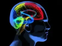 Societal inequality may reduce brain health: Study