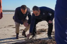 Has the South Australian Premier Requested Millions in Federal Funding to Combat the Toxic Algae Crisis?