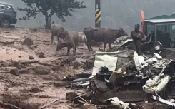 What Impact Have Heavy Rains Had on South Korea?