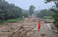 What Are the Consequences of the Recent Heavy Rains in South Korea?