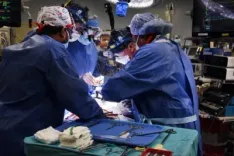 How Do Pig Kidney Transplants Function in Humans? Insights on Rejection Markers