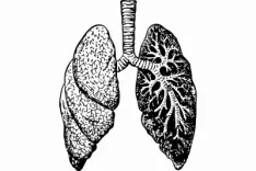 Study says ozone therapy promising new treatment for sepsis-induced lung injury