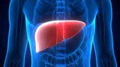 Study shows alcohol-linked liver deaths rising in women, young adults