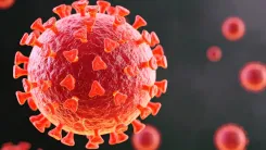What Mechanism Does the Covid Virus Use to Shield Itself During Replication?